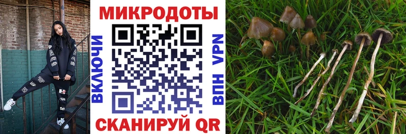 Галлюциногенные грибы прущие грибы Дивногорск