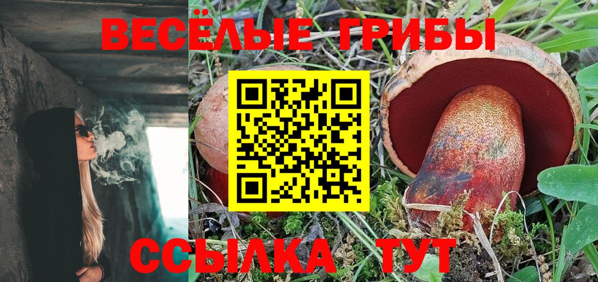 Псилоцибиновые грибы мицелий  Дивногорск 