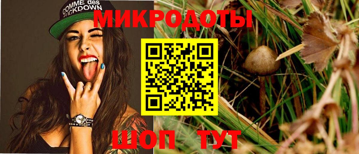Дивногорск  Псилоцибиновые грибы GOLDEN TEACHER  Вход с VPN  Галлюциногенные грибы Cubensis 